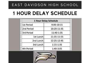 1 hour delay schedule