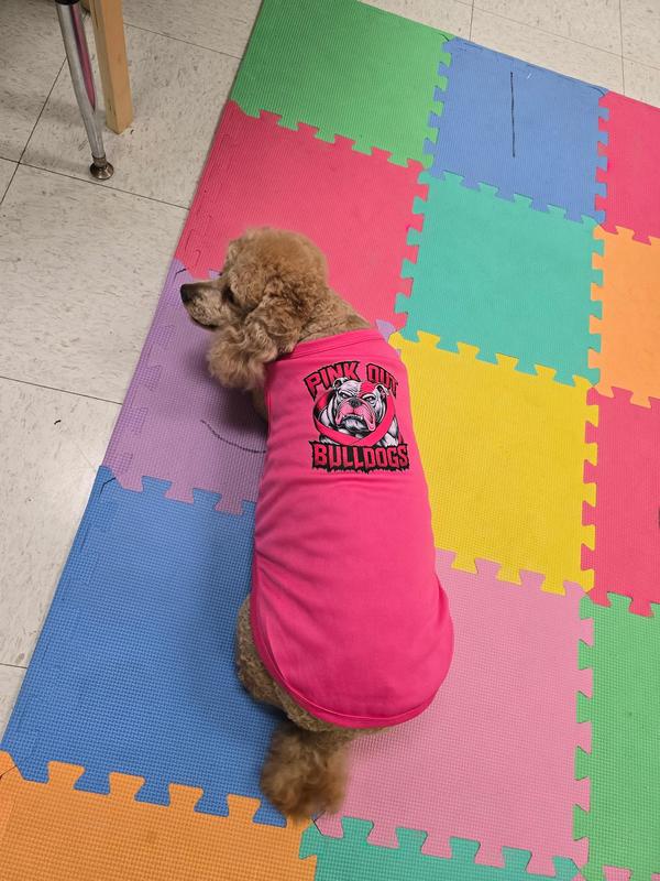 Students/Staff for Pink Out Day