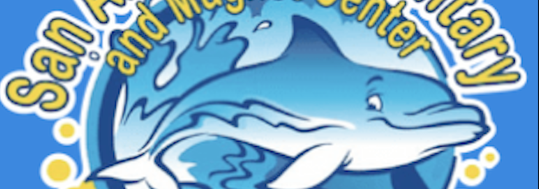 Once a Dolphin, always a dolphin!