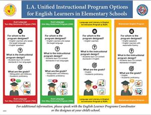Program Options