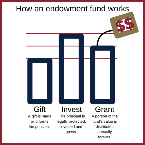 How the fund works...