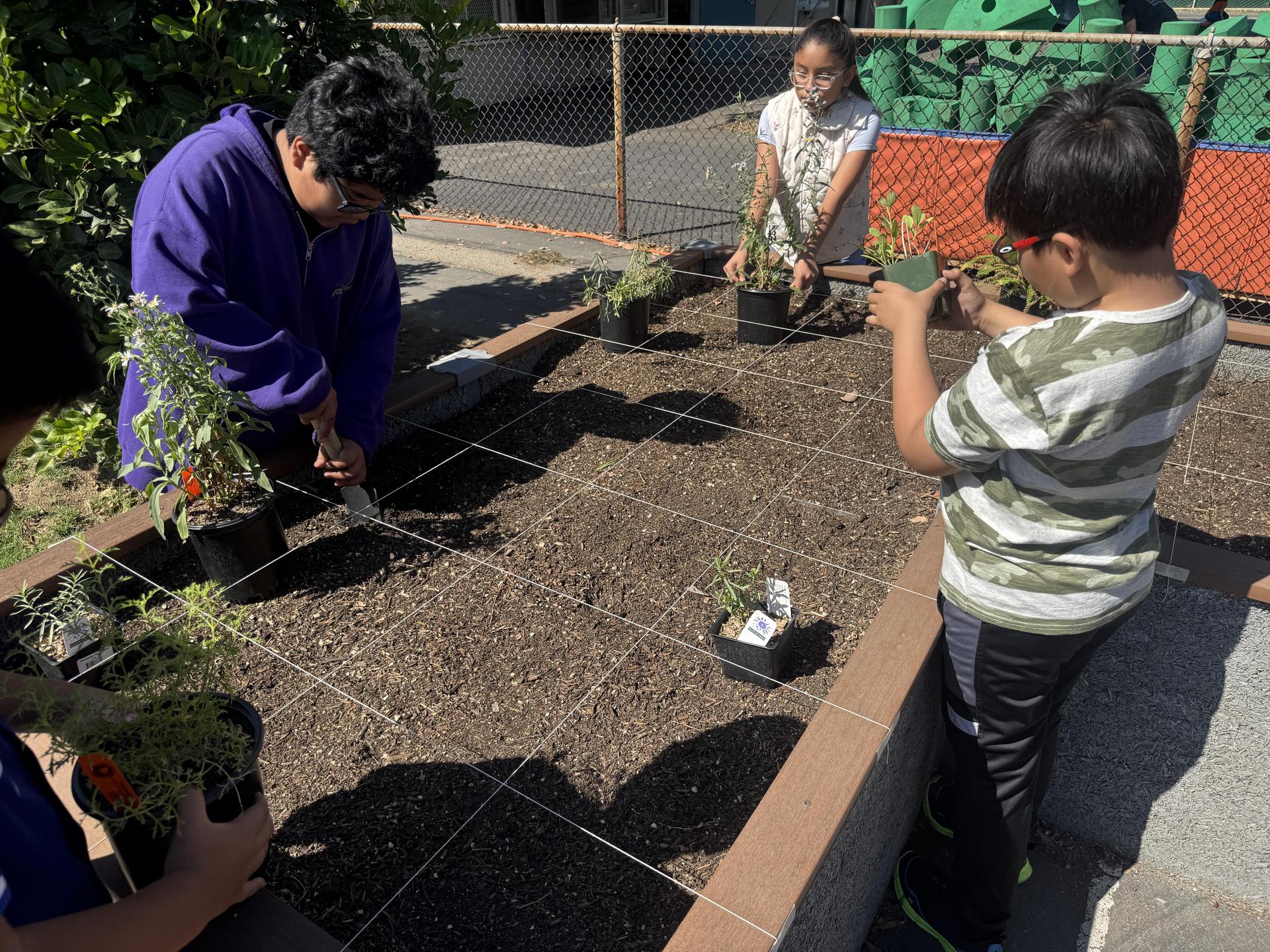 Lorne's Monarch Butterfly Sanctuary Garden