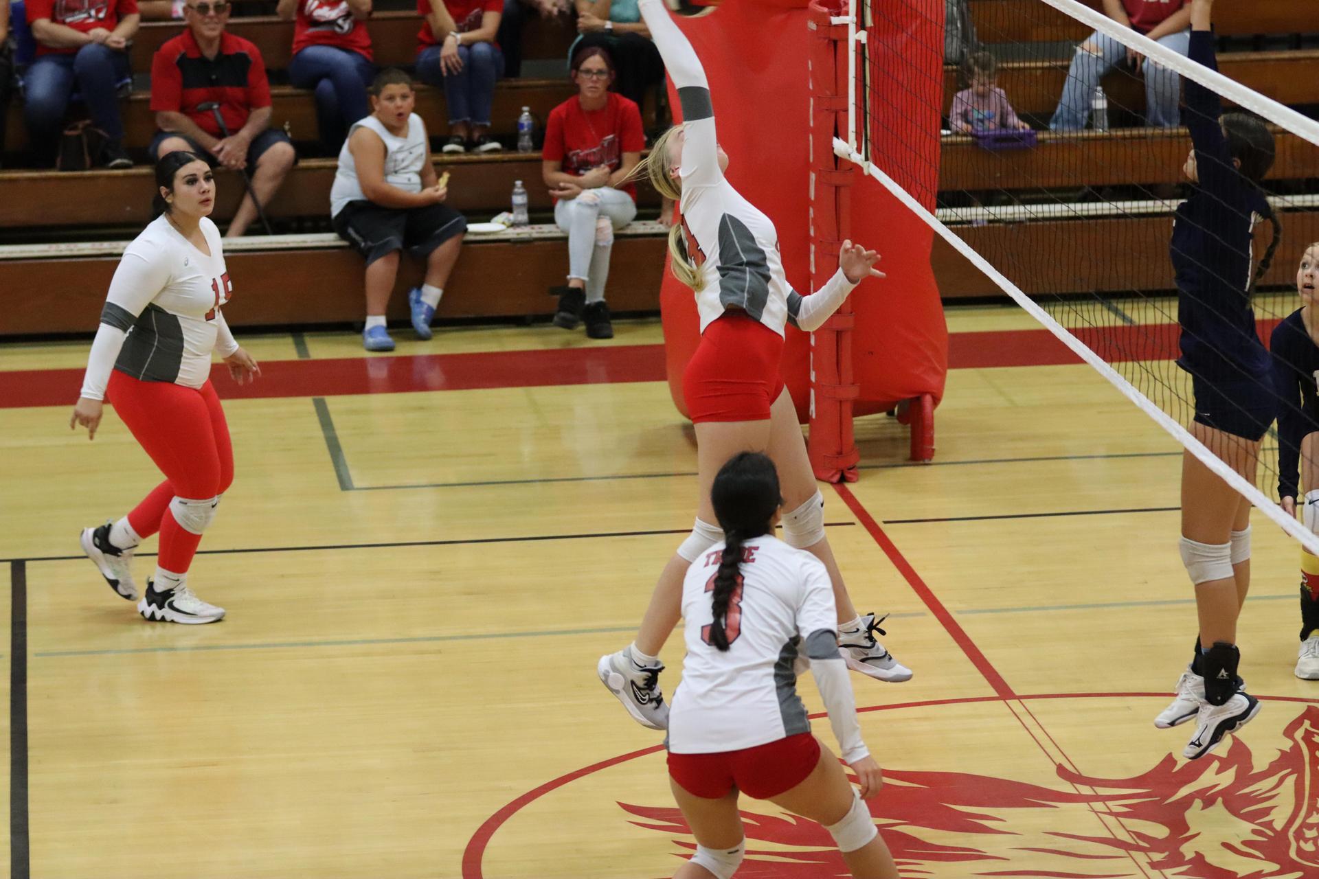 junior varsity girls playing volleyball against Yosemite