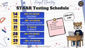 STAAR Testing
