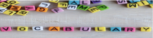 vocabulary
