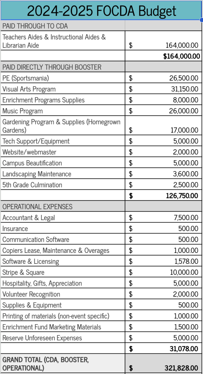 FOCDA Budget 24-25