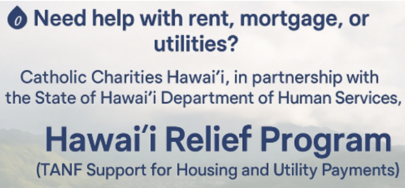 Hawaii Relief Program