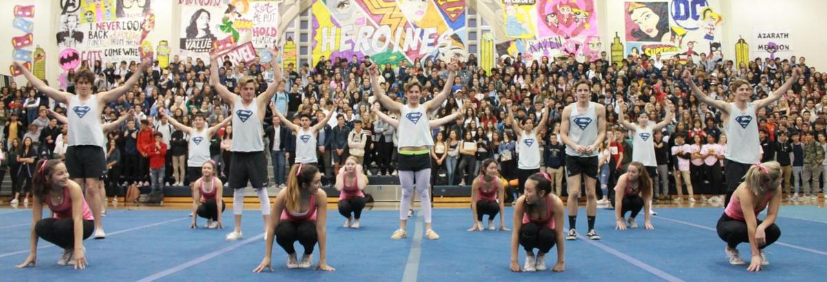 West ranch high school baseball image