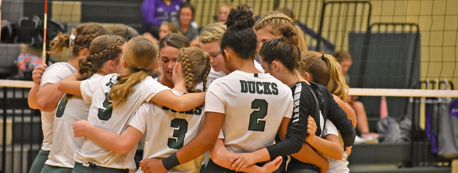 Varsity Volleyball 2019