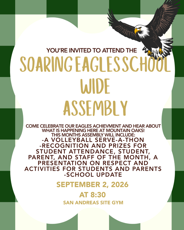 Assembly flyer