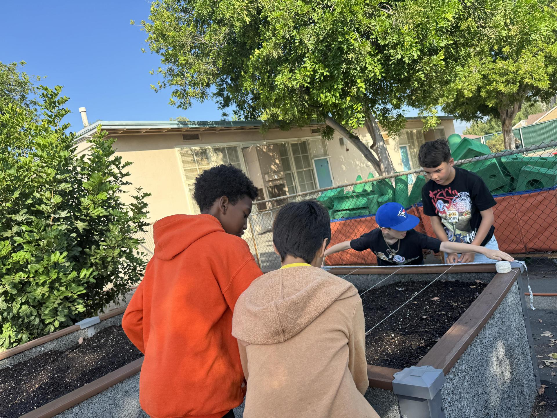 Lorne's Monarch Butterfly Sanctuary Garden