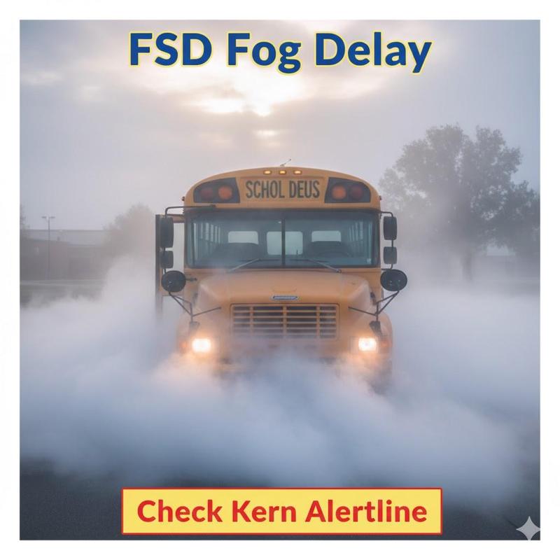 fsd fog delay