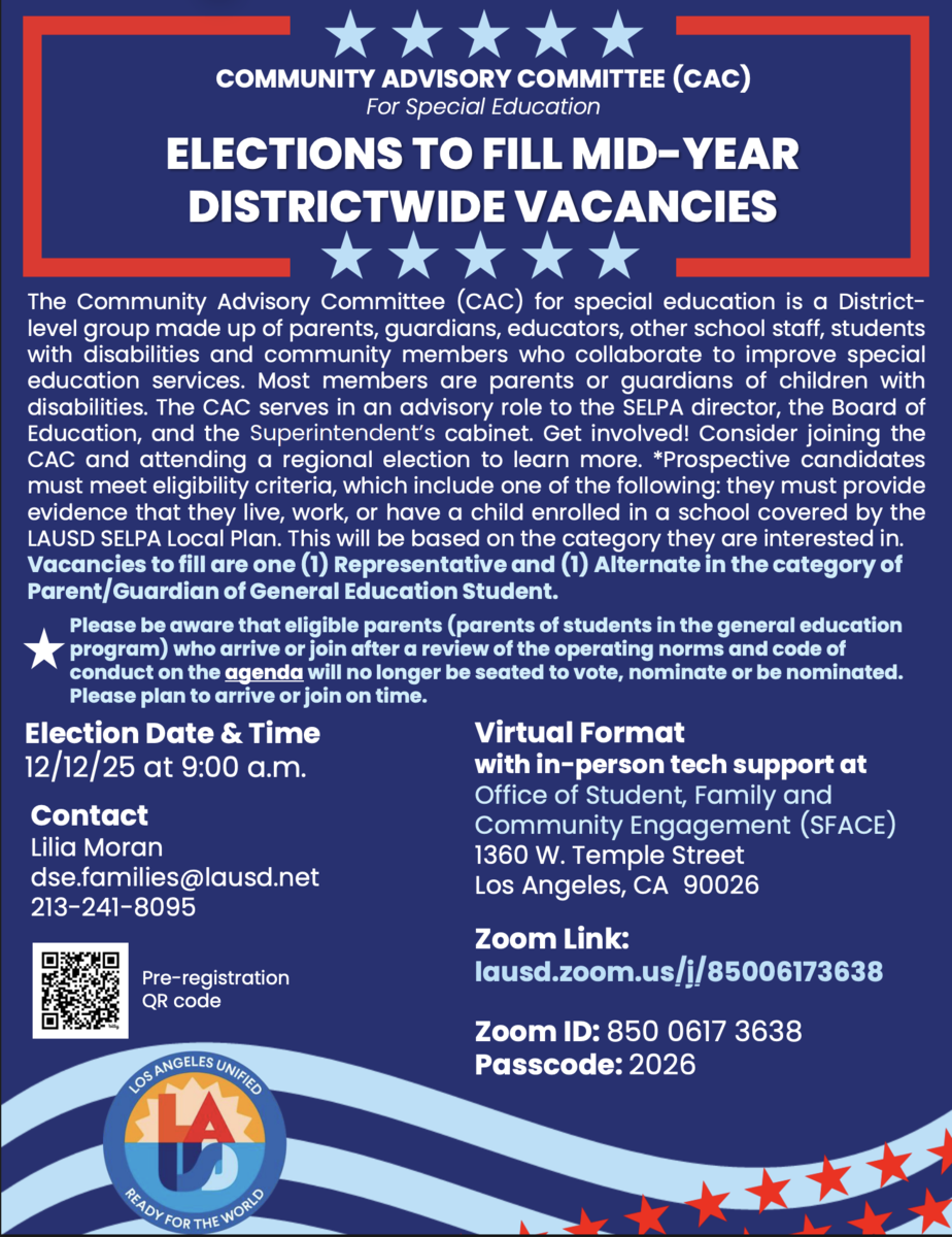 Elections to fill Mid-Year Districtwide Vacancies