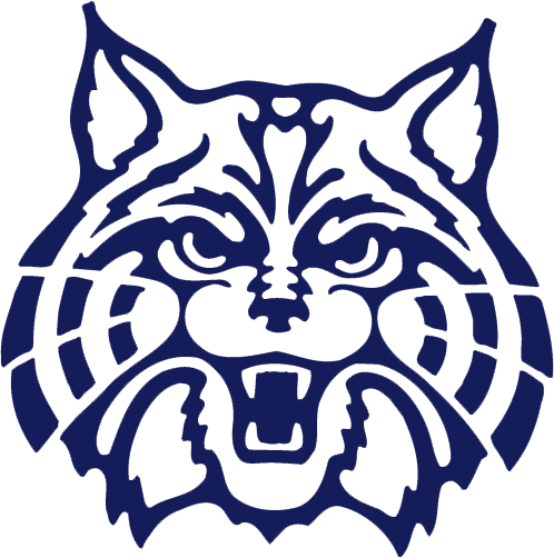 wildcat face