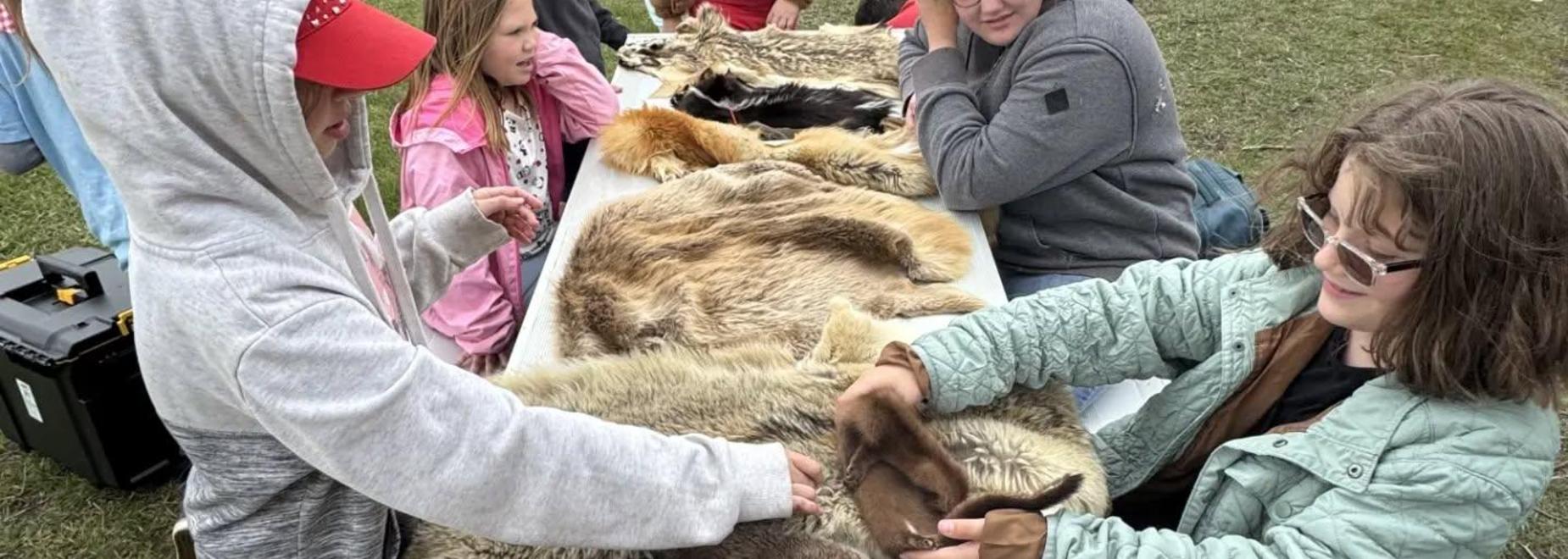 Kids examining furs on a table while engaging in a learning activity outside.