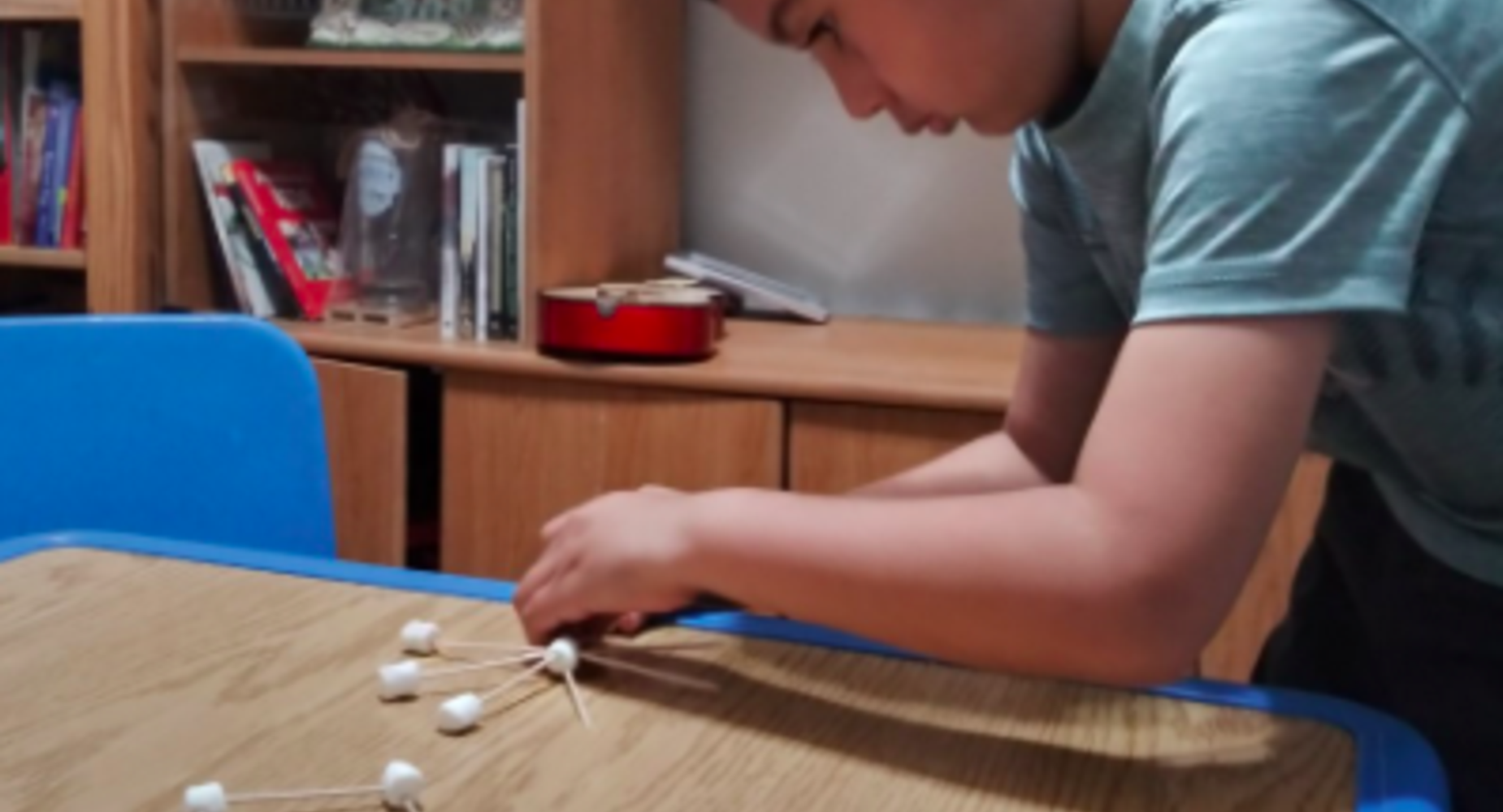 STEM night
