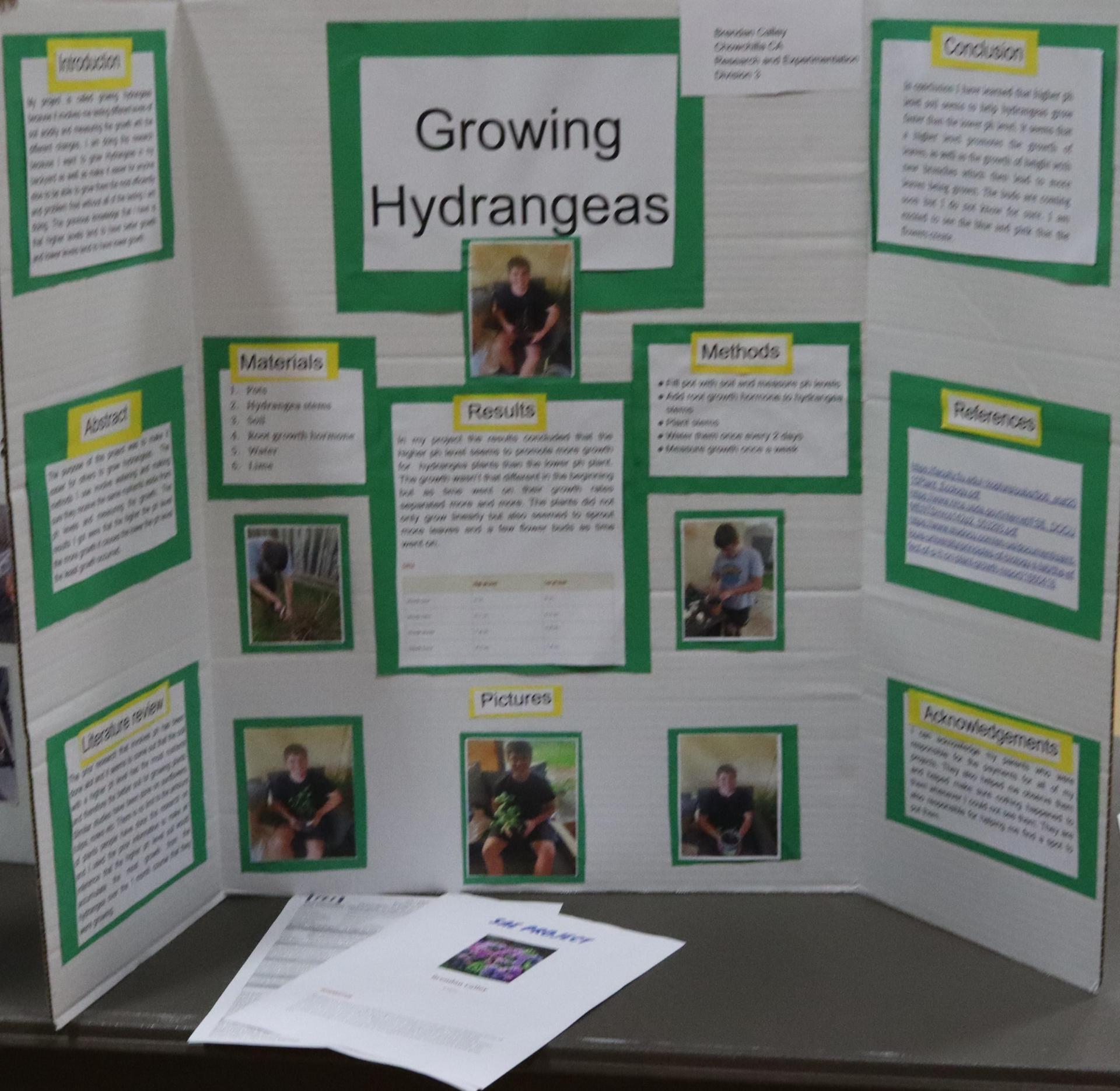 A Supervised Agricultural Experience trifold display