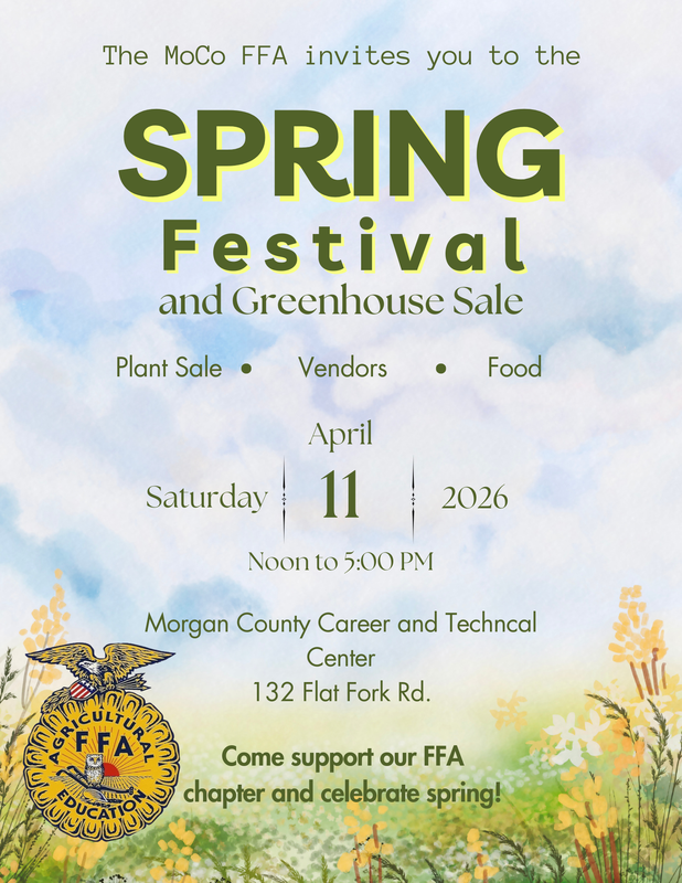 Spring Festival Flyer