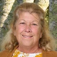 DianeChinatti's Profile Photo