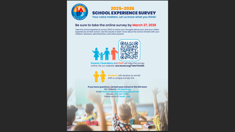 School Experience Survey