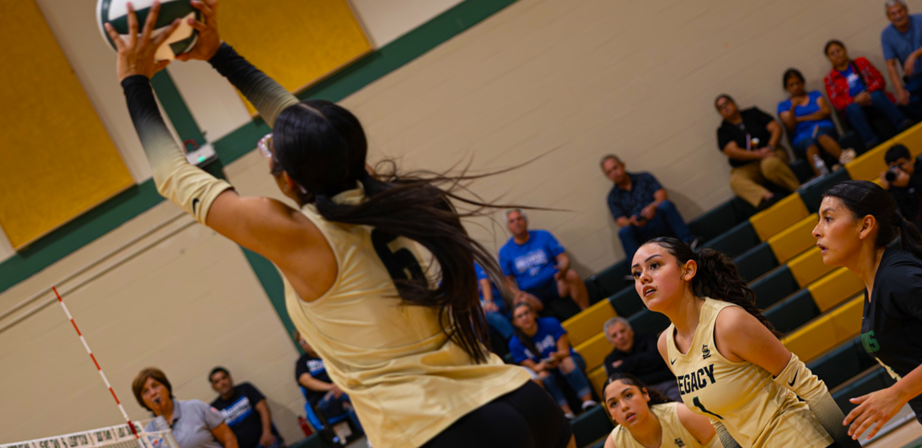 volleyball