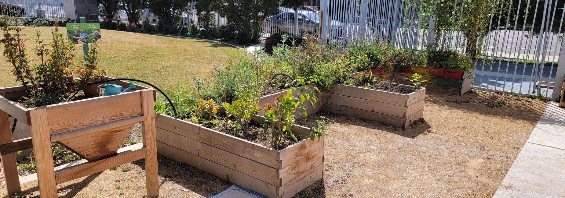 Gardening Area