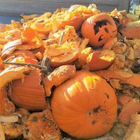 smashed pumpkin photo
