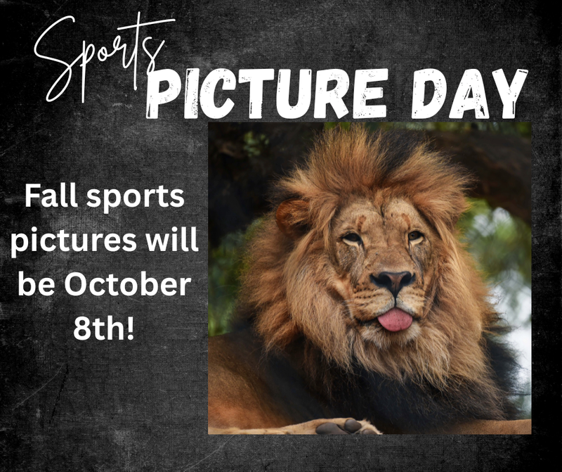 Fall Sports Pictures Featured Photo
