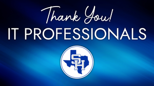 Thank You IT Professionals