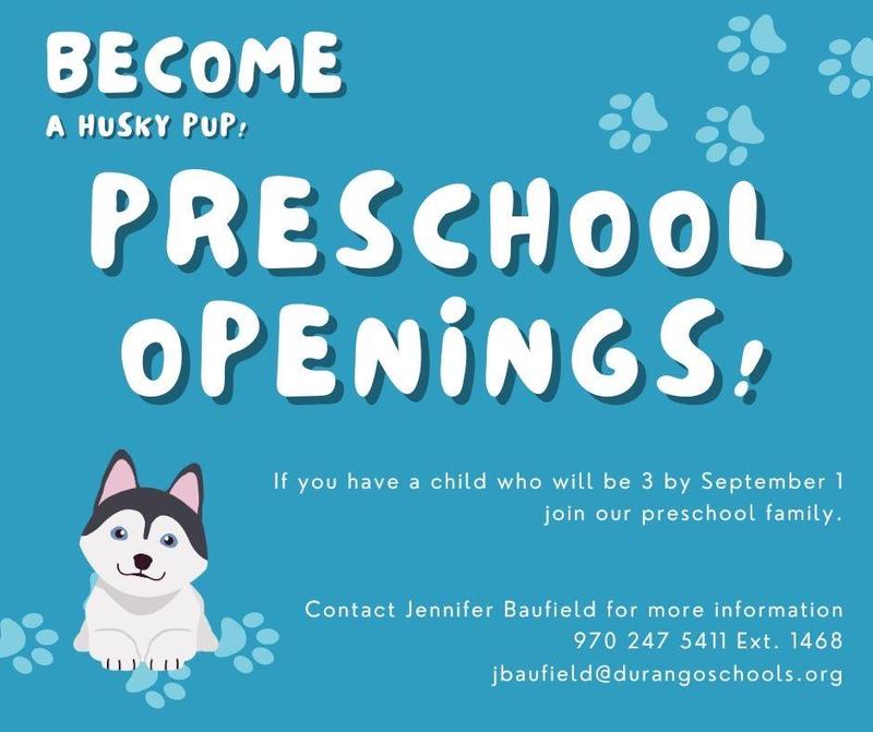 A husky pup on a promotion for preschool openings