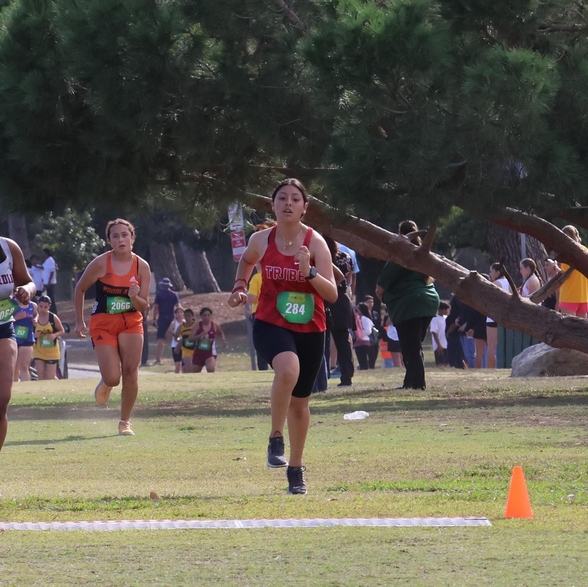 cross country runners in action