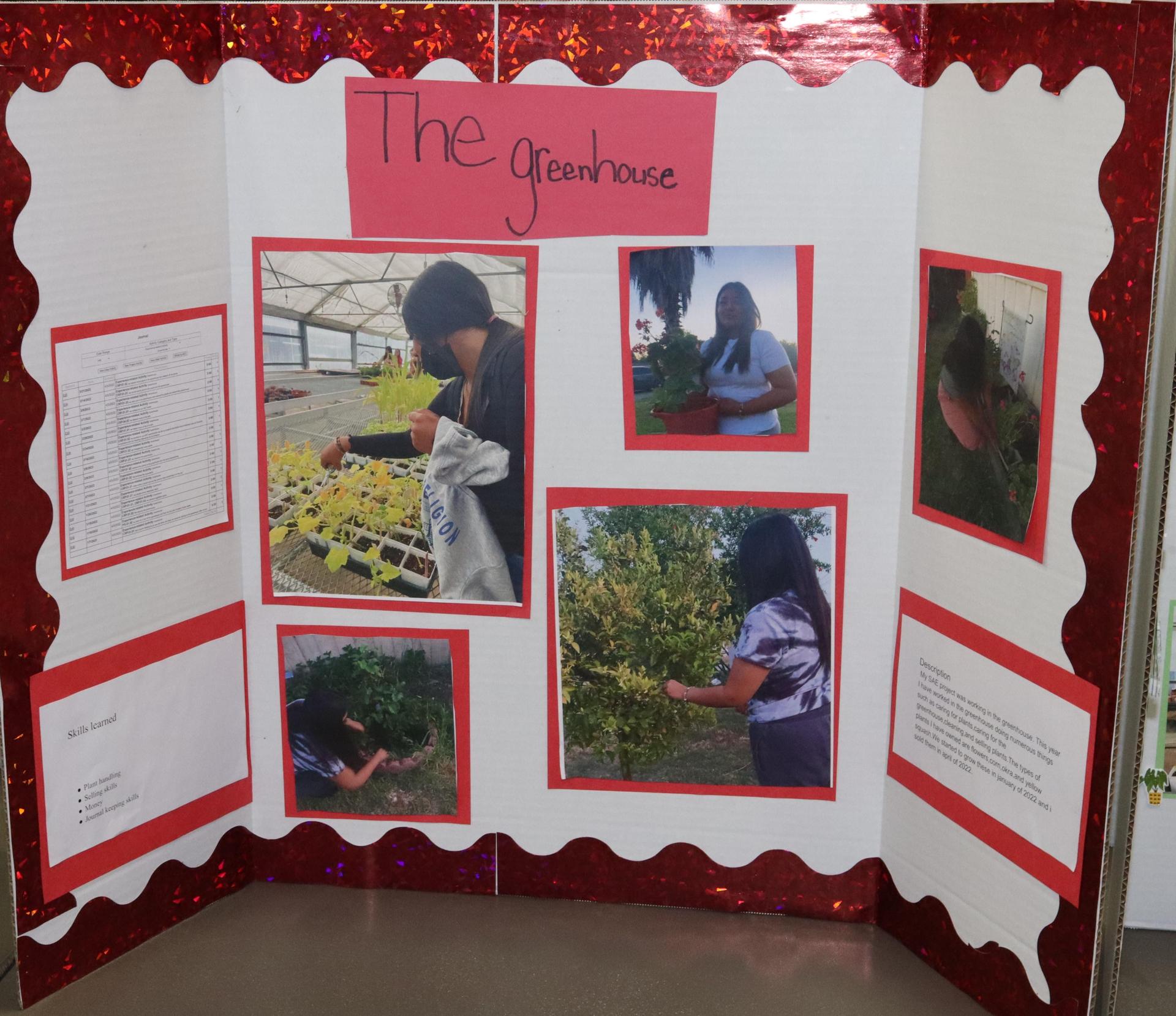 A Supervised Agricultural Experience trifold display