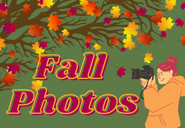 Fall tree with a photographer