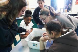 TK science teacher helps students identify insects in the water.