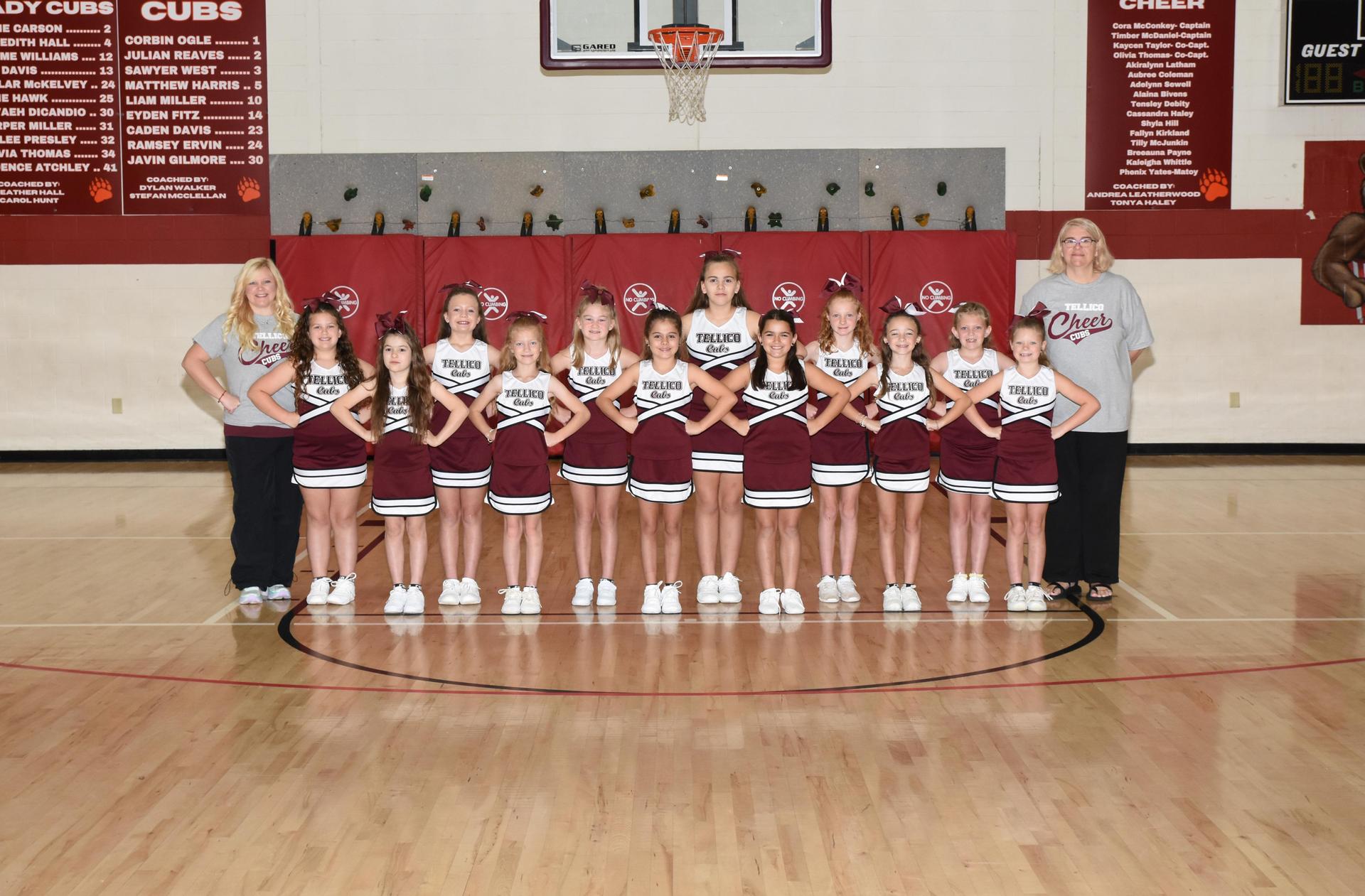 Picture of 2025-2026 Little Cubs Cheerleaders