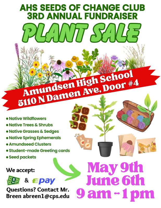 Sustainability Saturday & Plant Sale June 6th Featured Photo