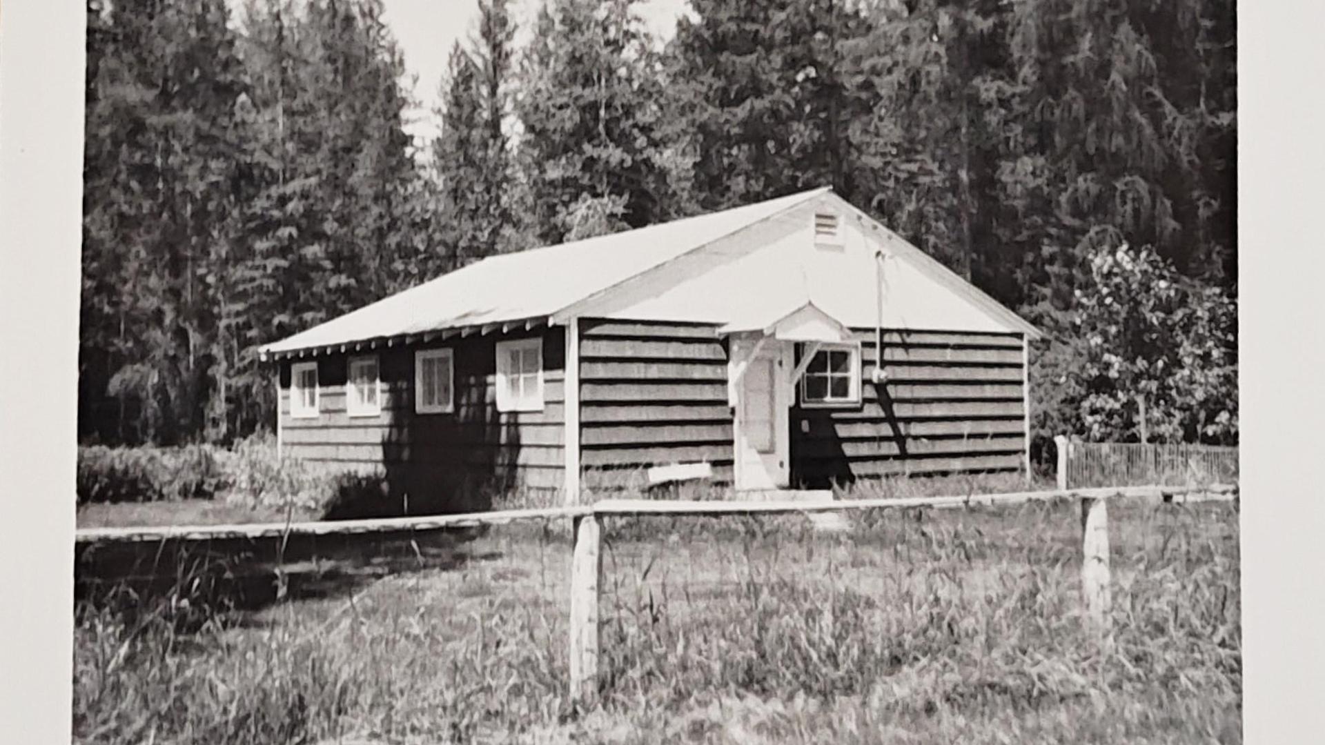 Wooden cabin surrounded by trees and a grassy area.