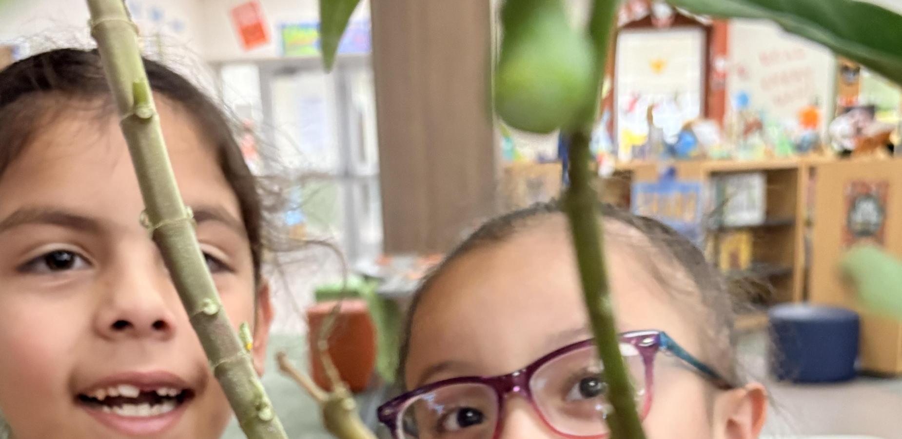 Two children smiling behind branches with green leaves.