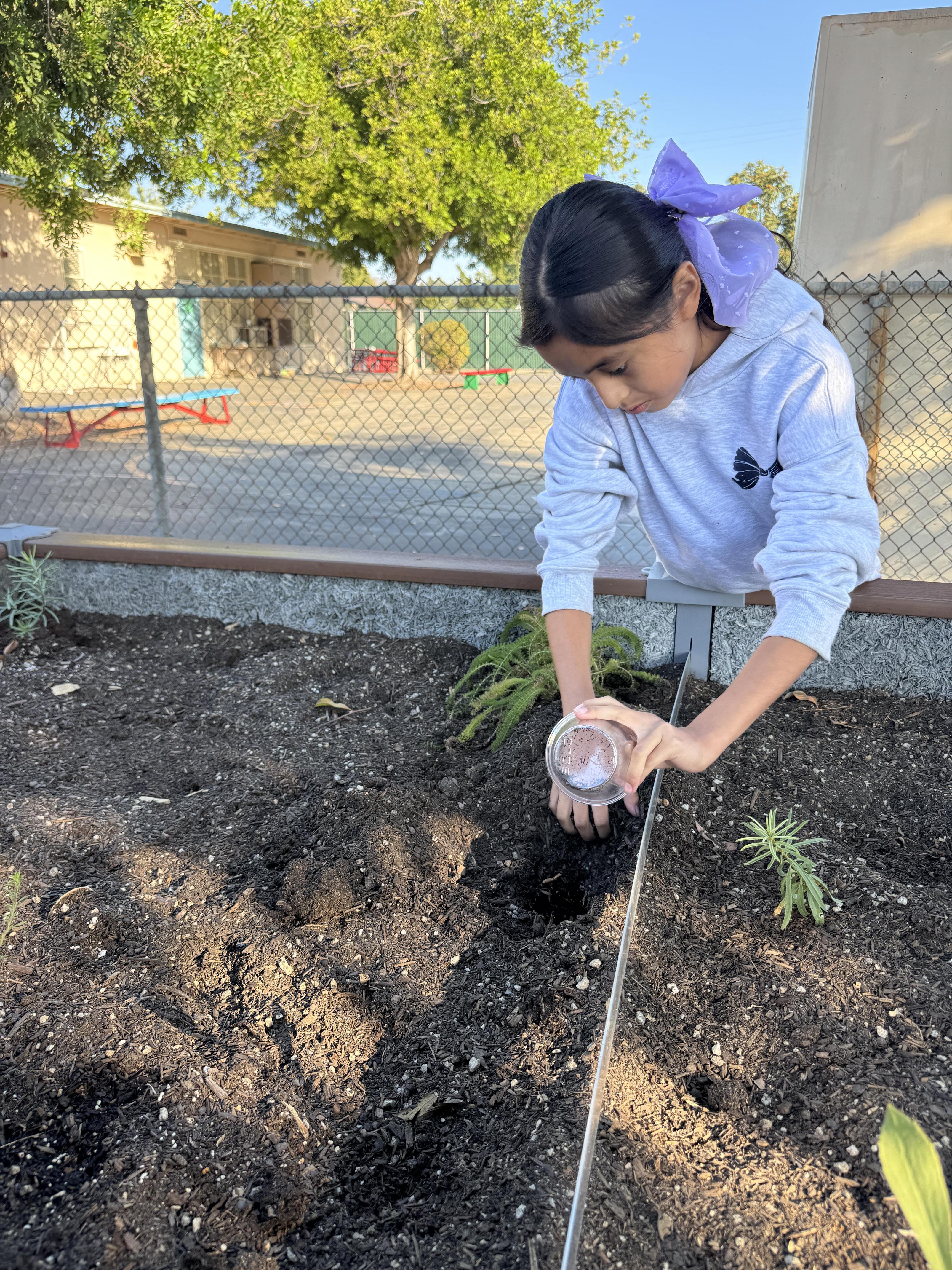 Students working on stewardship project