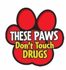 CES Red Ribbon Week Thumbnail Image