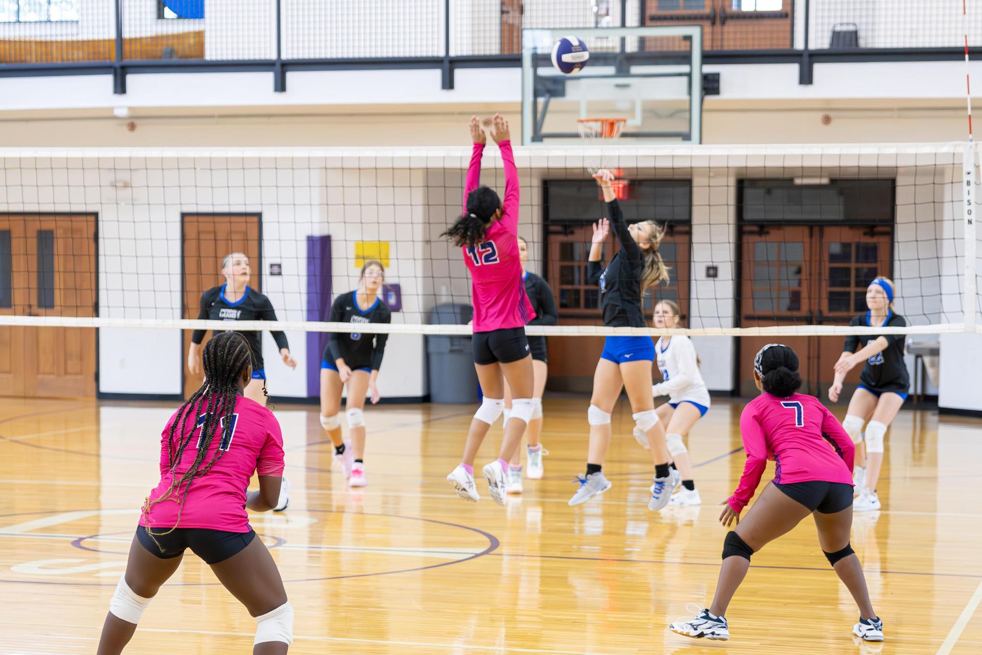 Players in pink uniforms compete at a volleyball match in a gymnasium.