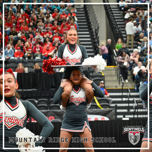 SENTINEL SPIRIT SHINES AT THE STATE CHAMPIONSHIPS