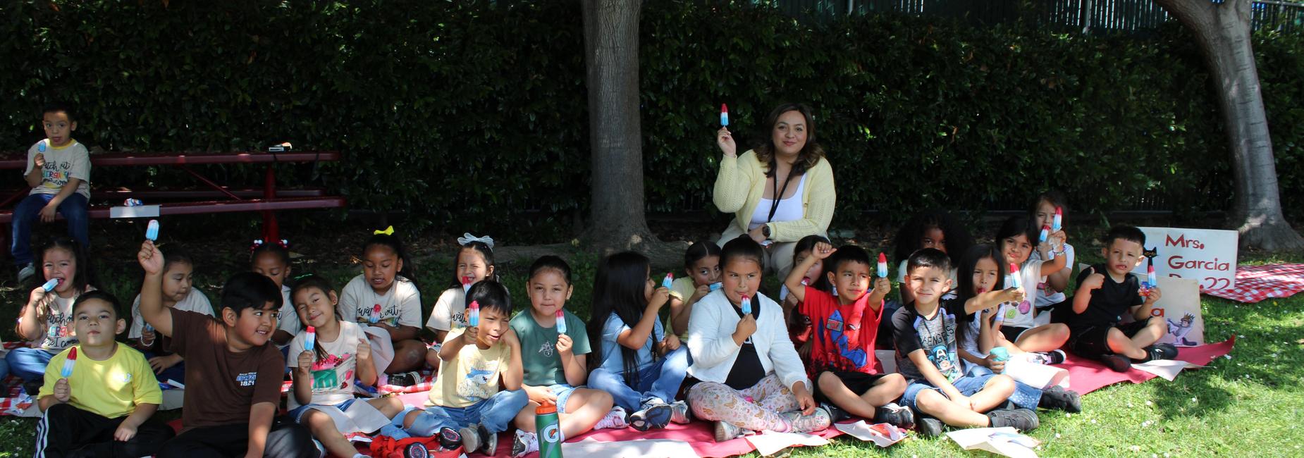 Mrs. Espinoza&rsquo;s Popsicle Picnic