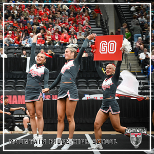 SENTINEL SPIRIT SHINES AT THE STATE CHAMPIONSHIPS