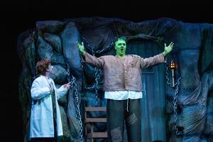 Adam Steiner as The Monster