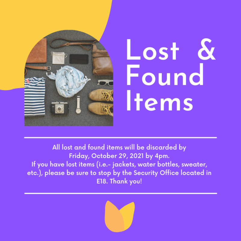 Picture of Shoes, Sweater, Camera, things that could be considered in a lost and found box