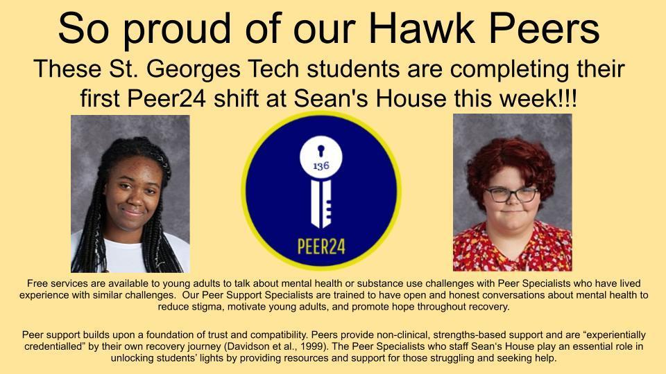 Peer trainers