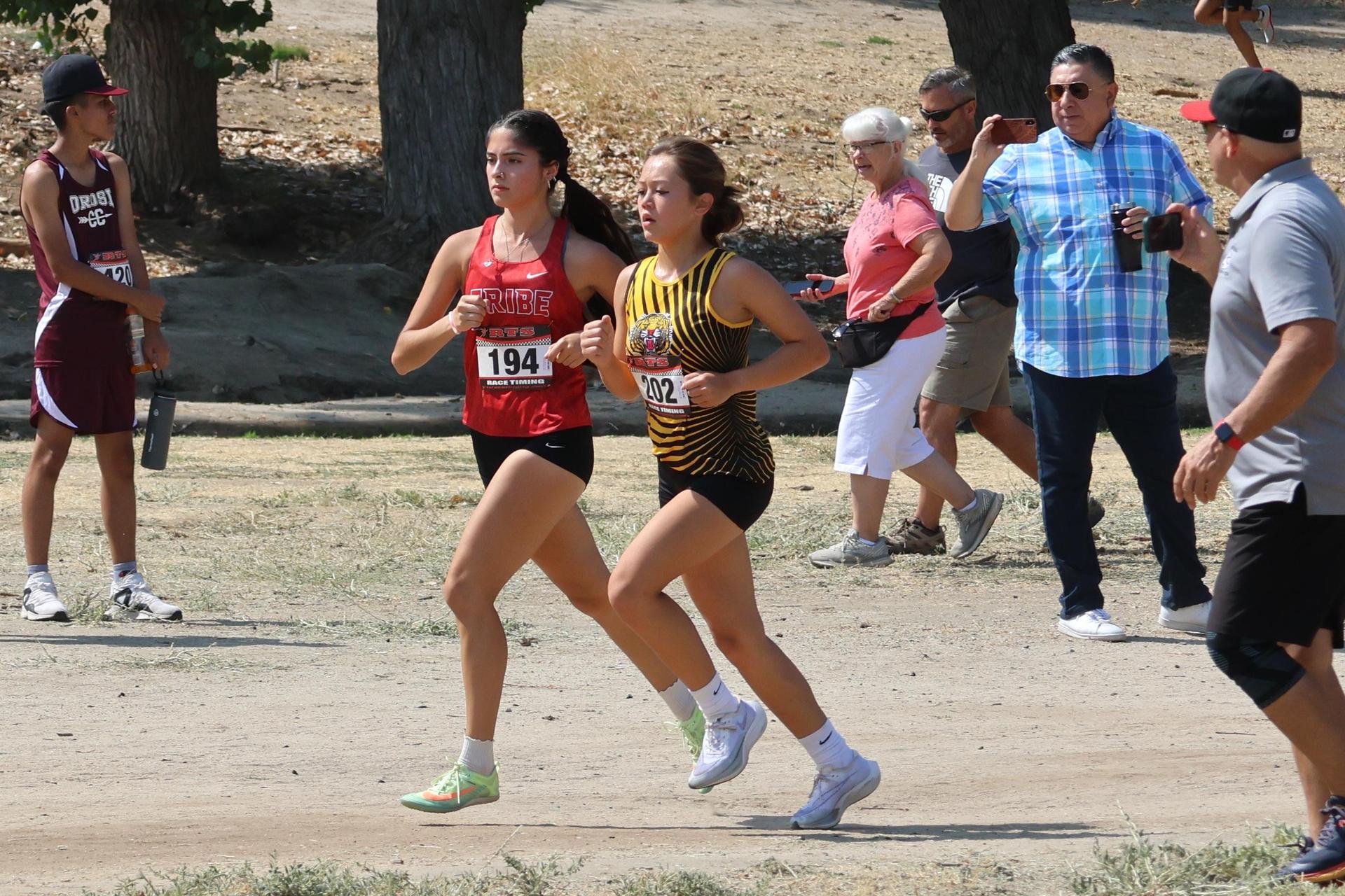 cross country runners in action at woodward park