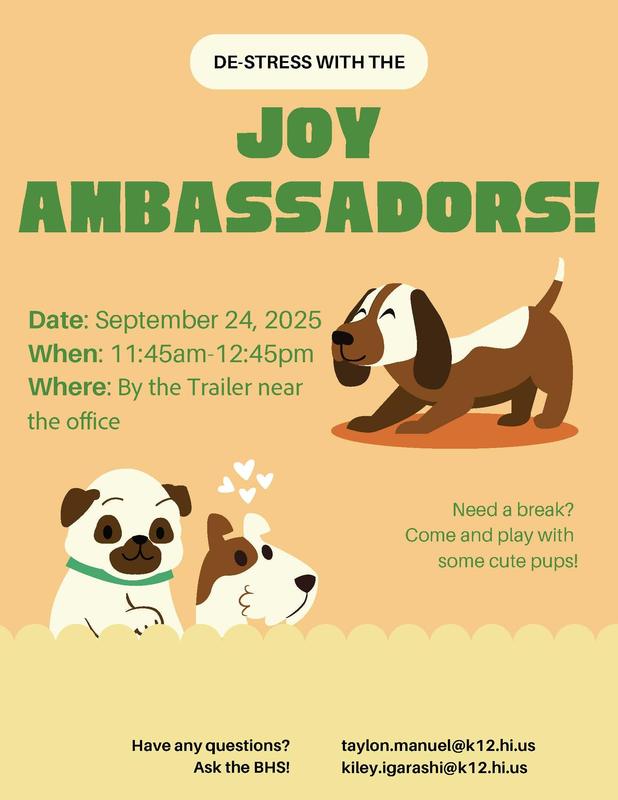 Joy ambassador poster