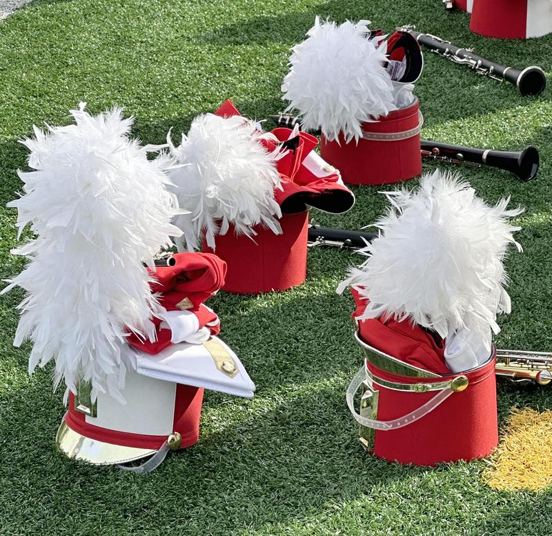 A row of decorated marching band hats with white plumes on green grass.